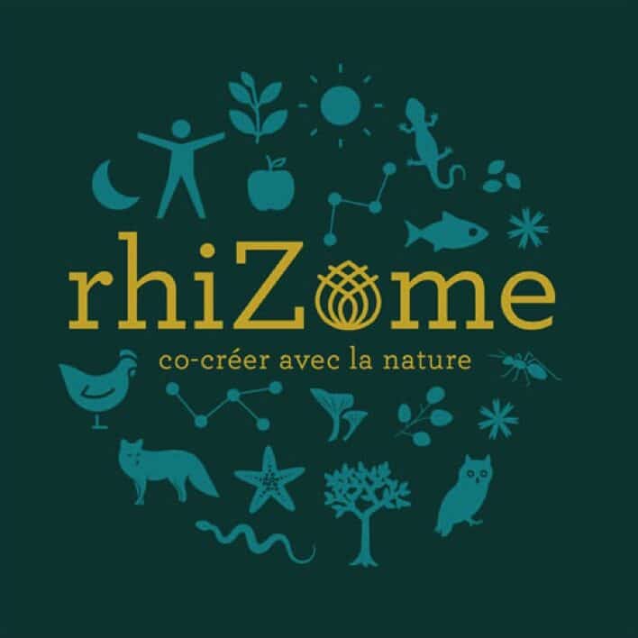 identité graphique rhizome, creation make it marseille