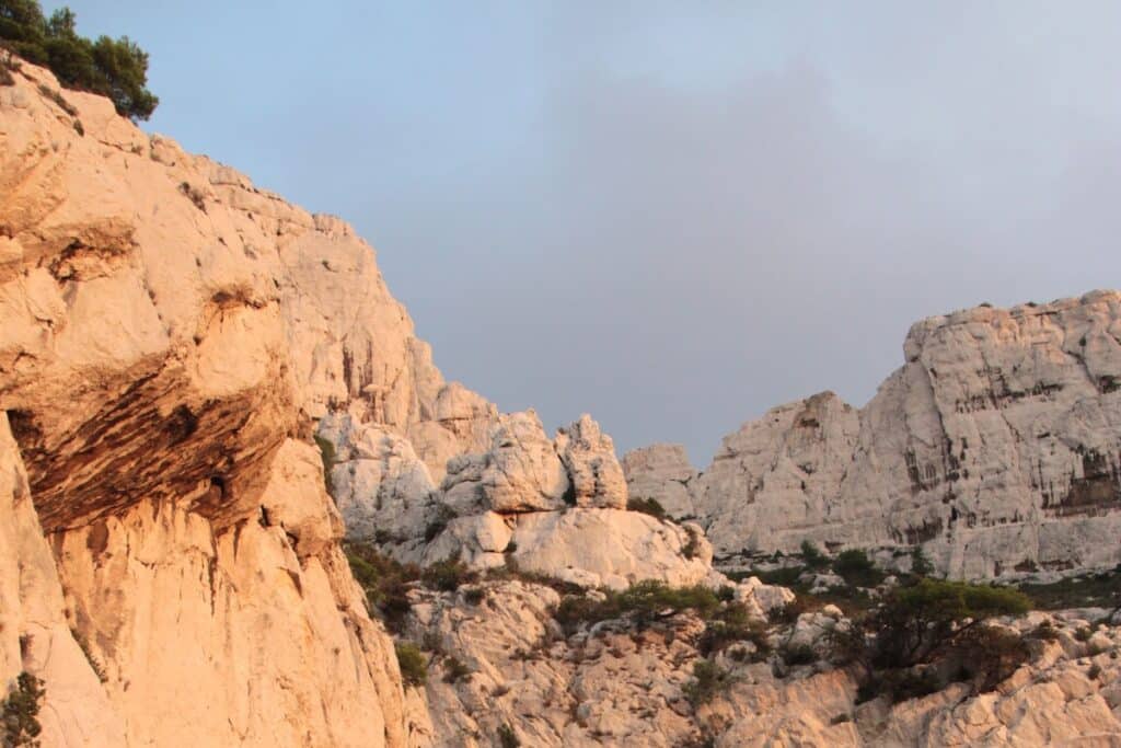 Devenez acteur du changement, Insuffler un nouveau souffle dans votre vie pro, Nature coaching, formation, stage, coaching, bilan professionnel, coaching professionnel, CPF, donner un cap à sa vie pro