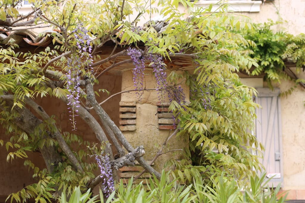 Devenez acteur du changement, Insuffler un nouveau souffle dans votre vie pro, Nature coaching, formation, stage, coaching, bilan professionnel, coaching professionnel, CPF, donner un cap à sa vie pro