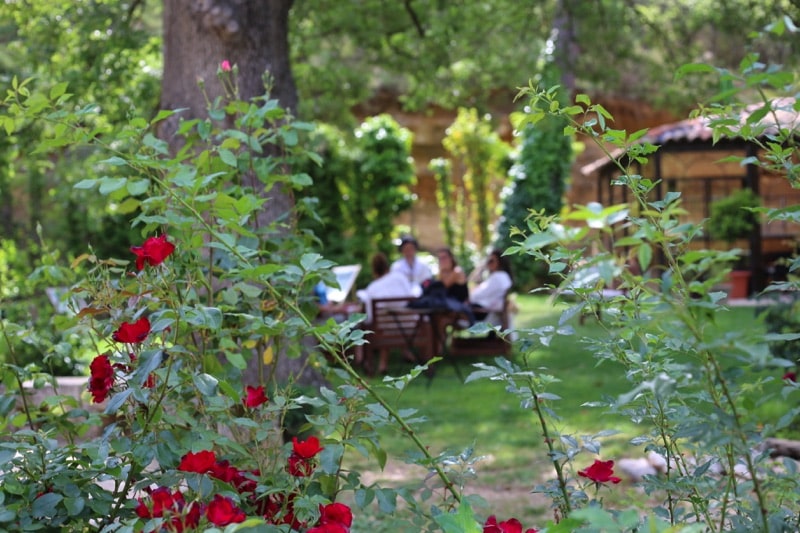 stage-nouveau-souffle-initiez-votre-renouveau-professionnel