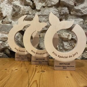 conception-et-fabrication-de-trophees-durables-edf-pulse